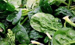 聪明且努力有高智商的星座，成功就在眼前