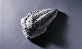 智商高，情商更高！看破不说破的三个星座