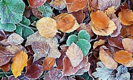 遇到困难时，看似冷静沉着的4个星座，实则内心汹涌澎湃