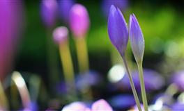 分手时会撂狠话，伤你最狠的三大星座