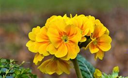 必看12星座年终如何才能咸鱼翻身