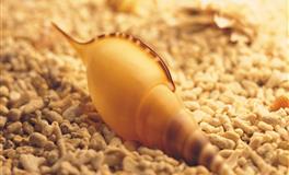 不擅表达的三大星座，其实很爱你，表现却令人抓狂