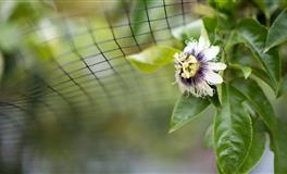 爱你时深情，分手时绝情，爱憎分明的三大星座