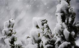 容忍不了背叛的三个星座，一旦背叛，会立马放手，绝不停留