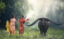 当这些星座cp碰撞时，就是孽缘的开始