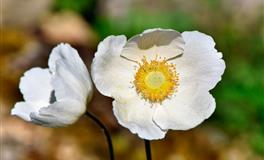 无法驾驭的3大星座男，热爱自由，不愿意被爱情约束