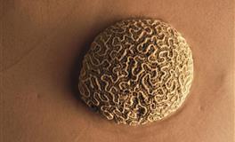 射手座最应该远离的人，有你吗？