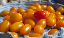 身处人世处处小心翼翼的星座，看似蠢笨，实则境界极高