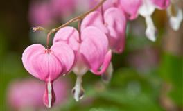 感情中，难以“挽留”的星座，清醒又理智，不让执念毁了昨天！