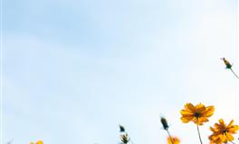 这些星座男很会宠人，与其恋爱，超幸福！