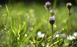 这三大星座都是黑马潜力股，容易暴富，你上榜了吗？