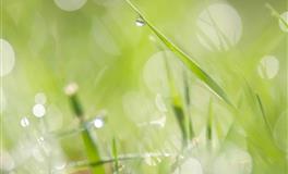 即使困难一重接一重，也依旧相信未来可期的星座，心向阳，自明媚