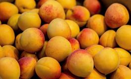 最会吵架的三个星座，日常战斗力爆表，人形大炮台，让人无可奈何