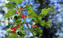 双子座想要稳下来，不再离开的三大星座