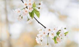 苏珊米勒每日运势2020年8月14日