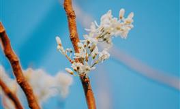 12星座的底线是什么？一旦触及，立马翻脸再也不会和好