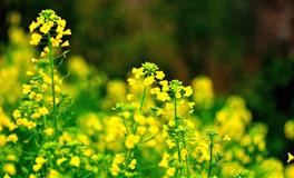 懂得给另一半安全感的星座，是保持距离，还是钱包上交