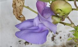 心理测试：如果你有一亿，你会买哪栋房子？测你未来会不会成为富豪