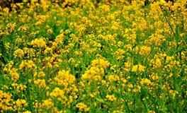 分手最绝情，这些星座男不会和前任藕断丝连