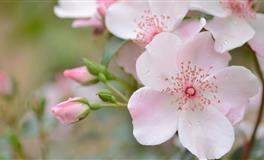 总是能逆风翻盘的星座，不服输，不认命，誓要胜天半子！