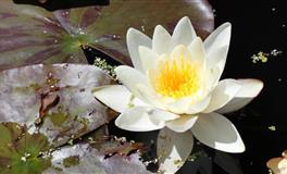 十二星座中，谁分手最易拖拖拉拉？