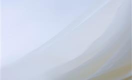 性格独立讨厌受人摆布，个性精明的星座