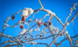 容易被暗恋的三个星座，颜值高，人缘又好，让异性一见钟情