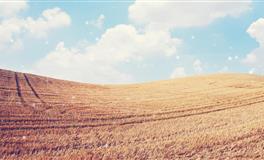 十二星座都是怎么对待父母的？父母要什么，白羊座都会尽力争取