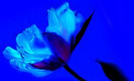 喜欢鸡蛋里挑骨头的三个星座，哪怕完美的东西，也能挑出瑕疵