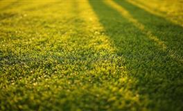 熊神进一周生肖运势（10.19-10.25）