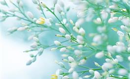 郑博士2020年10月20日生肖运势