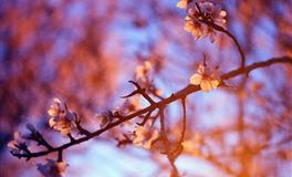 恋爱的甜度，加你刚刚好。你是哪种恋爱人格？