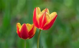 有责任感有担当，易出现好男人的四大星座