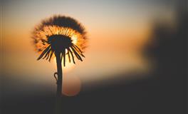 娜迪亚2020年12星座11月运