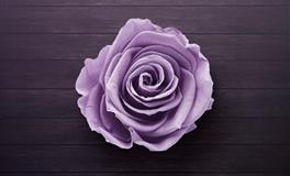 宋韶光2021年属牛人运程 牛年属牛人每月运势详解