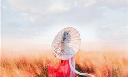 苏珊米勒每日运势2020年12月11日