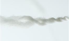 熊神进一周生肖运势（12.7-12.13）