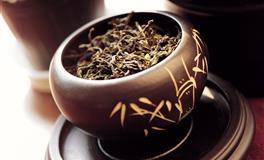 属蛇人2021年运势大全