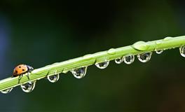 苏珊米勒每日运势2021年3月27-28日