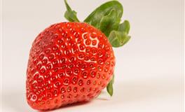 苏珊米勒每日运势2021年4月12日