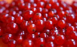 苏珊米勒每日运势2021年4月6日