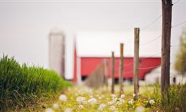 苏珊米勒每日运势2021年4月29日