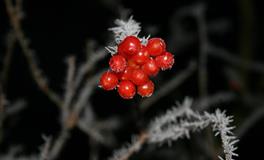 遇到冷暴力,白羊座会怎么想？