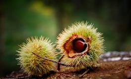 天蝎座在恋爱后会有什么变化？