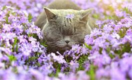 需要合适的相处距离的三大星座