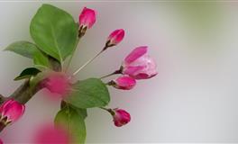 乔安妮处女座2021年运势