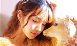 董易林2021年6月20日生肖运势