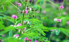 苏珊米勒每日运势2021年7月8日