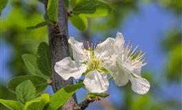 2021年夏季事业运最好的四大星座