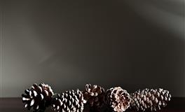 杀破狼天蝎座一周运势(2021.8.23～8.29)